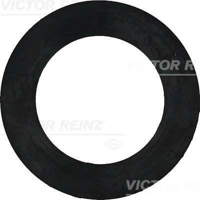 Dichtring VICTOR REINZ 407740800