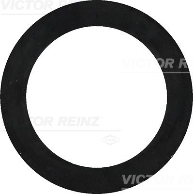 Dichtring VICTOR REINZ 407732200
