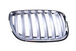 Grille BMW X5 (E53), 04 - 06, Right Cars245 PBM07031GBR