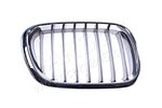 Grille BMW X5 (E53), 05.00 - 04, Right Cars245 PBM07030GBR