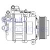 Kompressor, Klimaanlage DELPHI CS20479