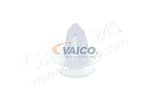 Halteclip, Türverkleidung VAICO V30-1416