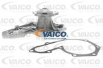 Wasserpumpe, Motorkühlung VAICO V95-50009