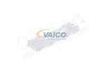 Clip, Zier-/Schutzleiste VAICO V10-2063